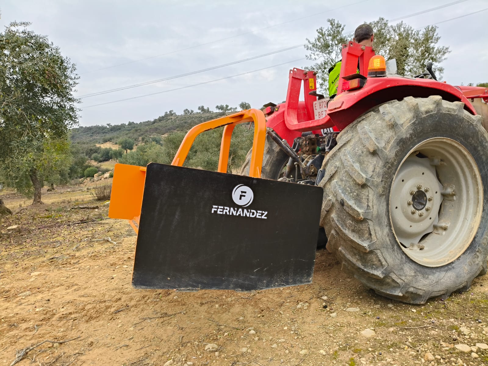 WhatsApp Image 2025-12-28 at 22.07.41